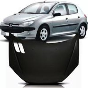 CAPO PEUGEOT 206 99/